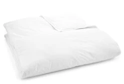 Light-Weight European Down Duvet
