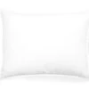 European Down Boudoir Pillow -One Kings Lane Shop Product BEQ11027 Image 1